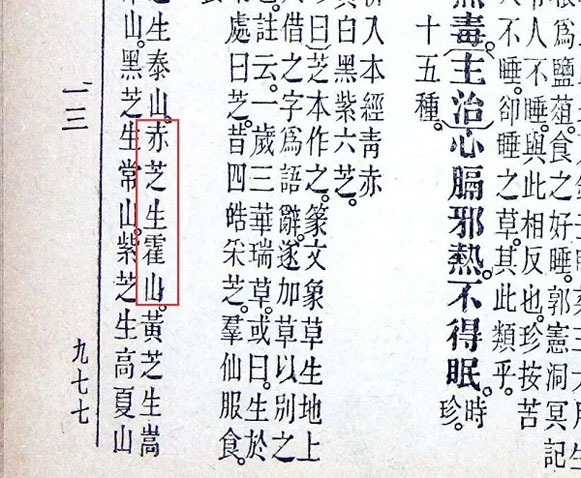 金寨靈芝