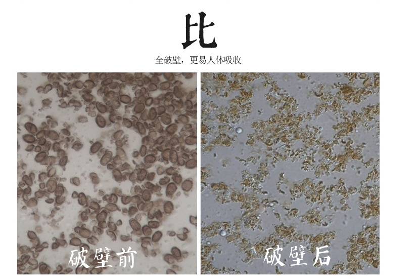 靈芝孢子粉