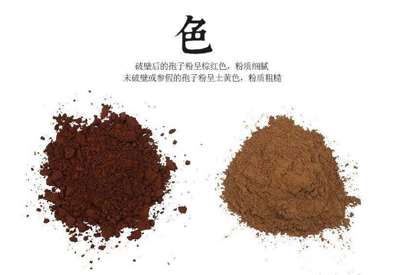 靈芝孢子粉