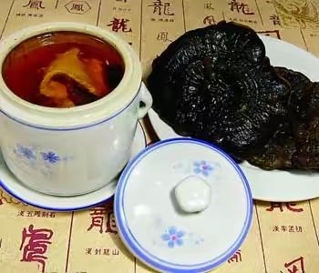 金寨靈芝