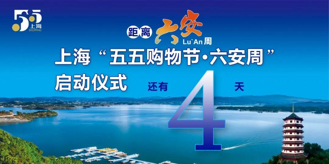 金寨靈芝