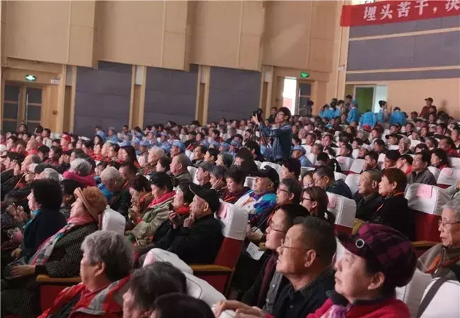 金寨靈芝