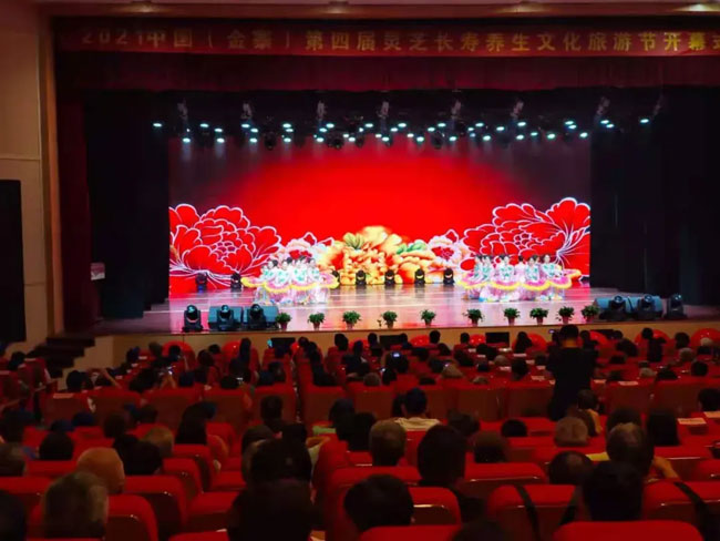 金寨靈芝