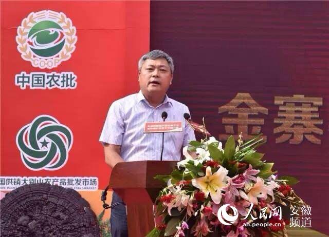 金寨靈芝