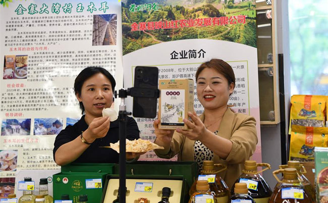 大別山靈芝