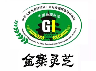 金寨靈芝