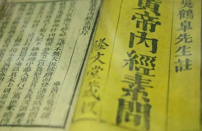 破壁靈芝孢子粉