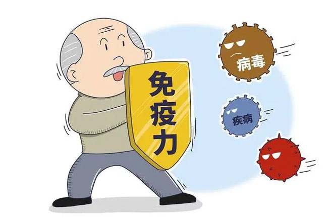 破壁靈芝孢子粉