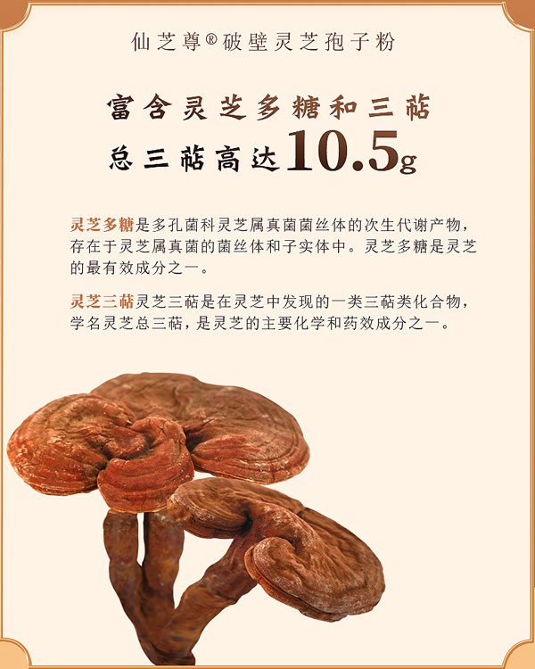 破壁靈芝孢子粉